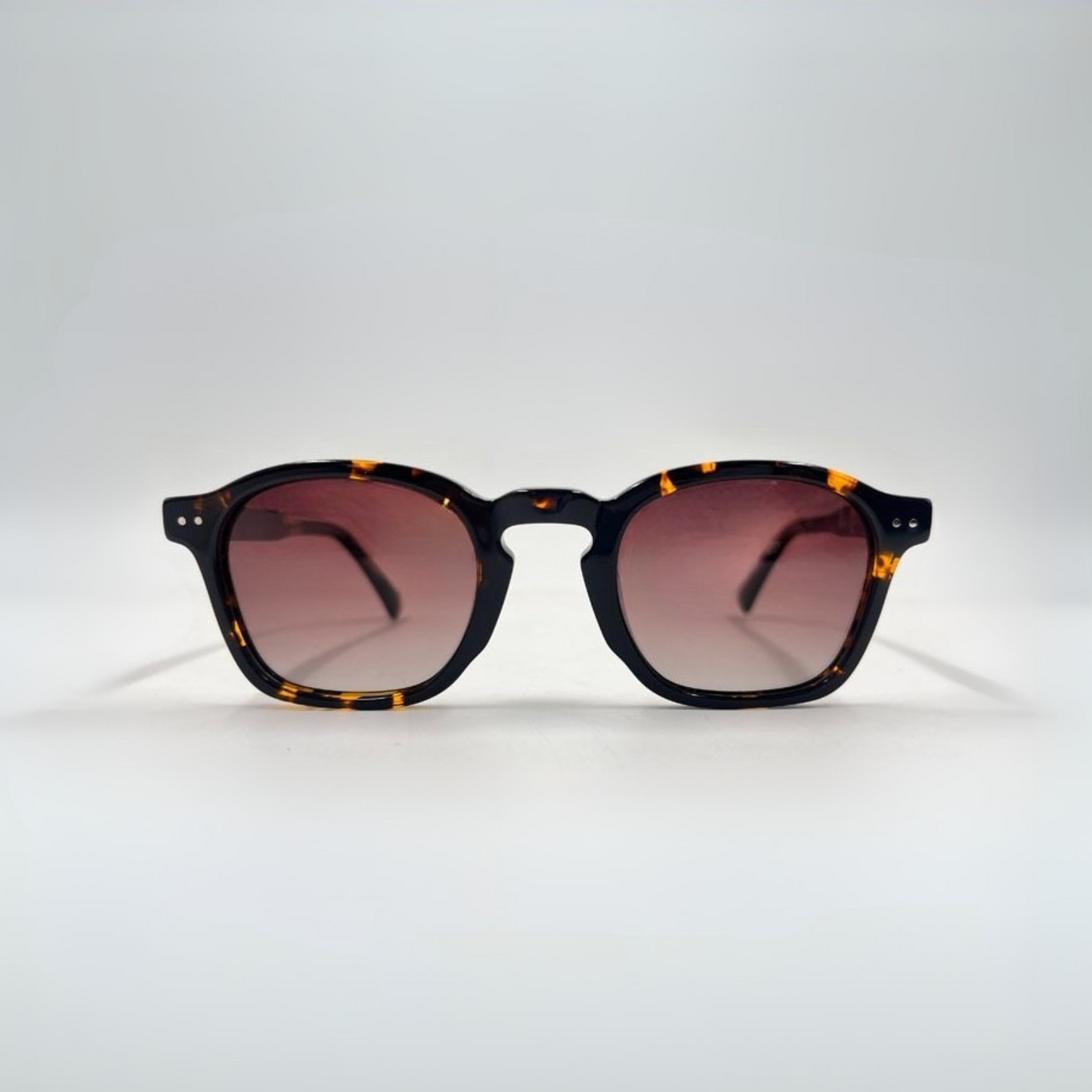 PORTOFINO - TORTOISE