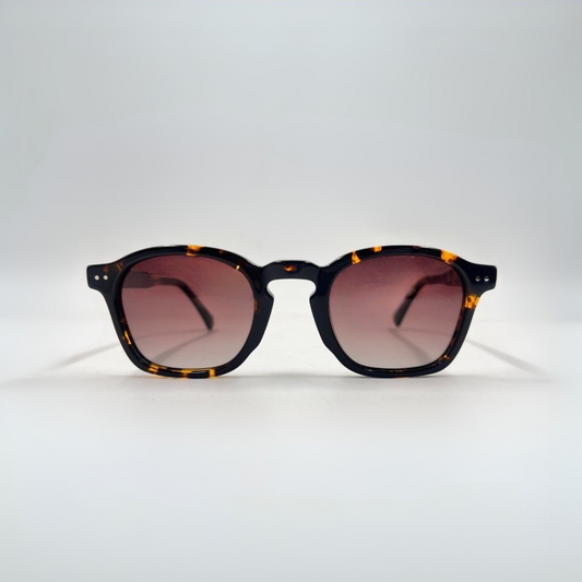 PORTOFINO - TORTOISE
