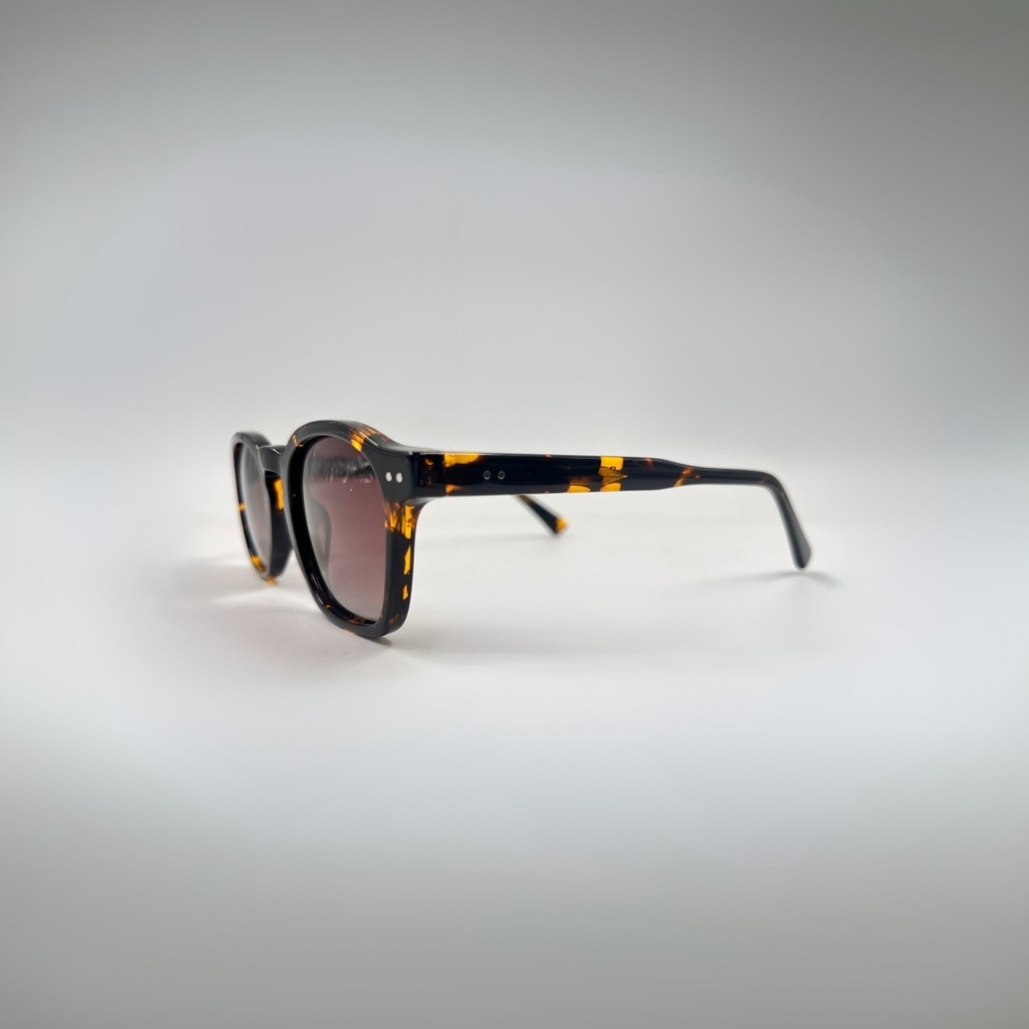 PORTOFINO - TORTOISE
